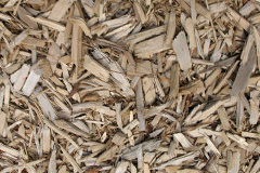 biomass boilers Llancaiach
